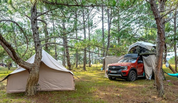 Conseils Incontournables pour Réussir la Location d'un Mobil-Home en Camping