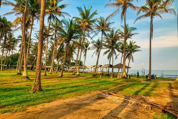 Expériences Gourmandes en Croisière : Un Tour du Monde Culinaire pour Éveiller vos Sens